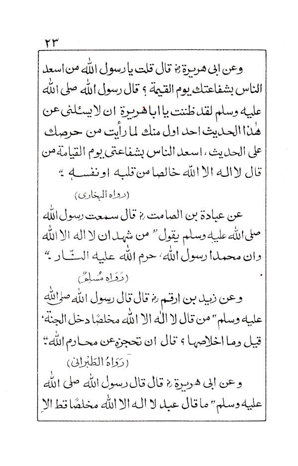 Ash Shaikh Muhammad Ilyas wa Dawatuhu Ad Diniyah – Arabic by: Sheikh Sadruddin Aamir Ansari