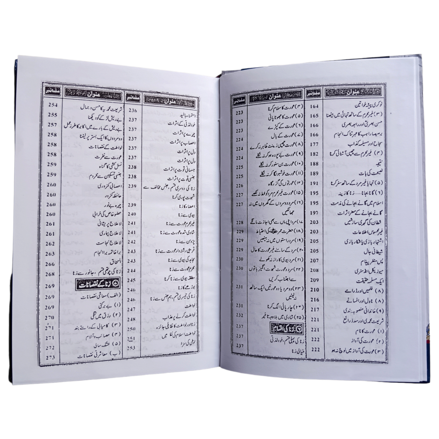 Haya Aur Pakdamni by Maulana Zulfaqar Naqshbandi Sahab