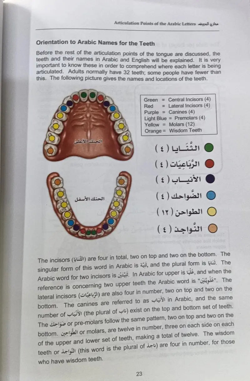 Tajweed Rules of the Qur’an : 3 Volume Complete Set (Parts 1, 2, and 3) by Kareema Carol