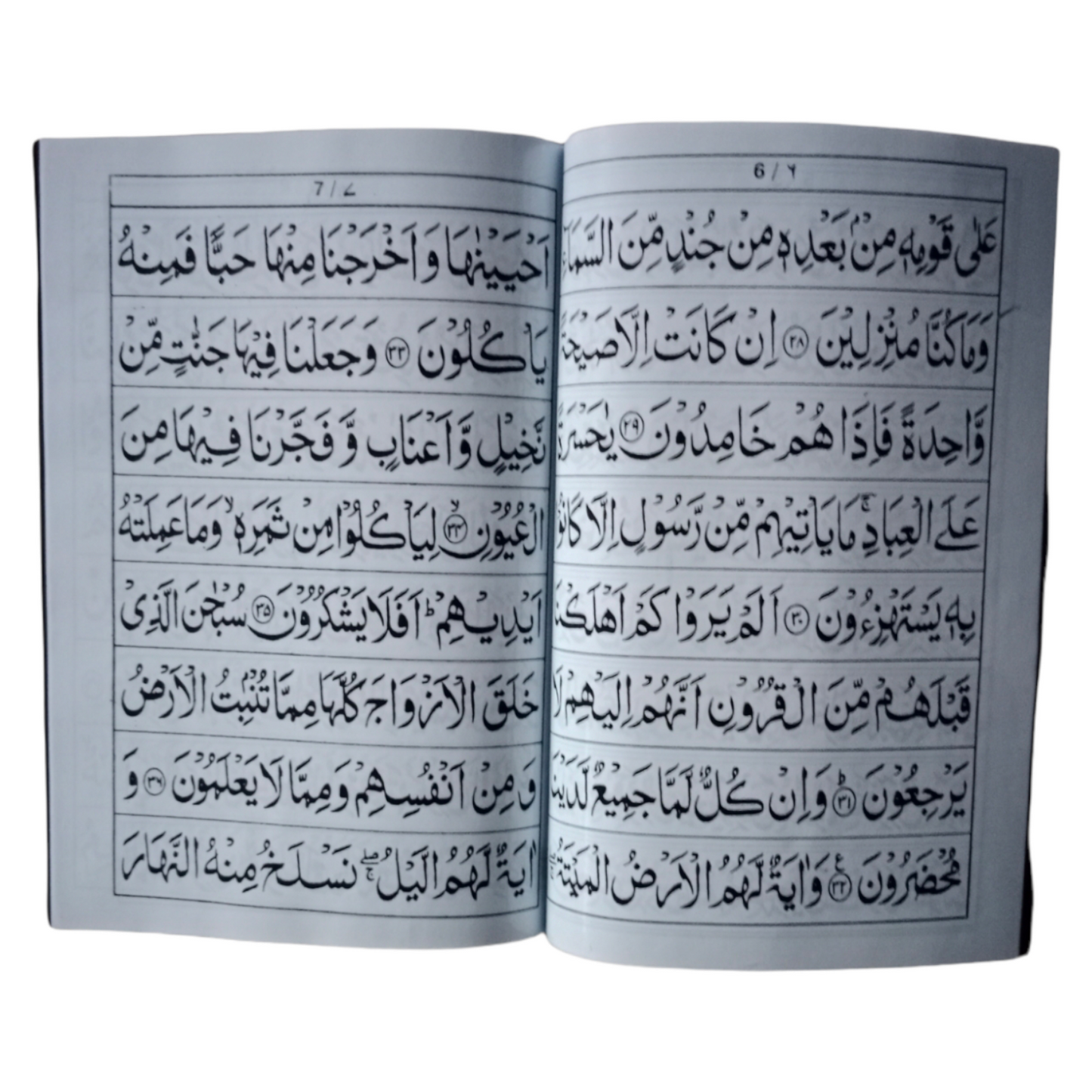 Surah Yaseen Medium Size Fully Laminated
