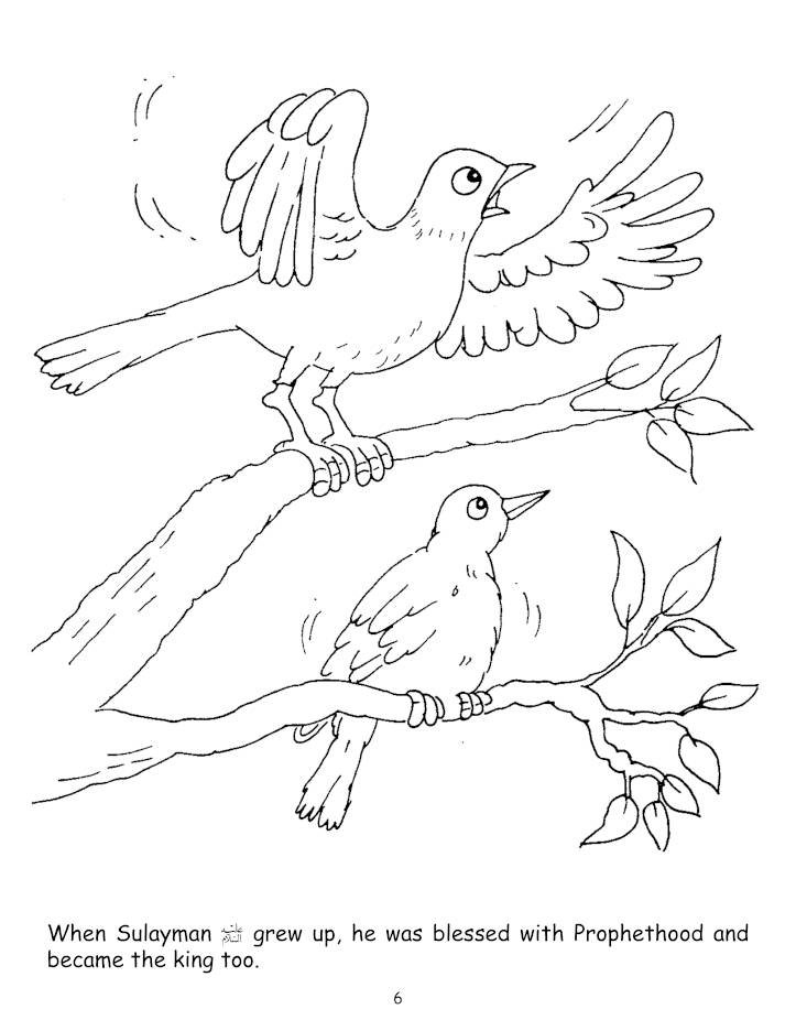 The Ant’s Panic (Colouring Book) (PB)