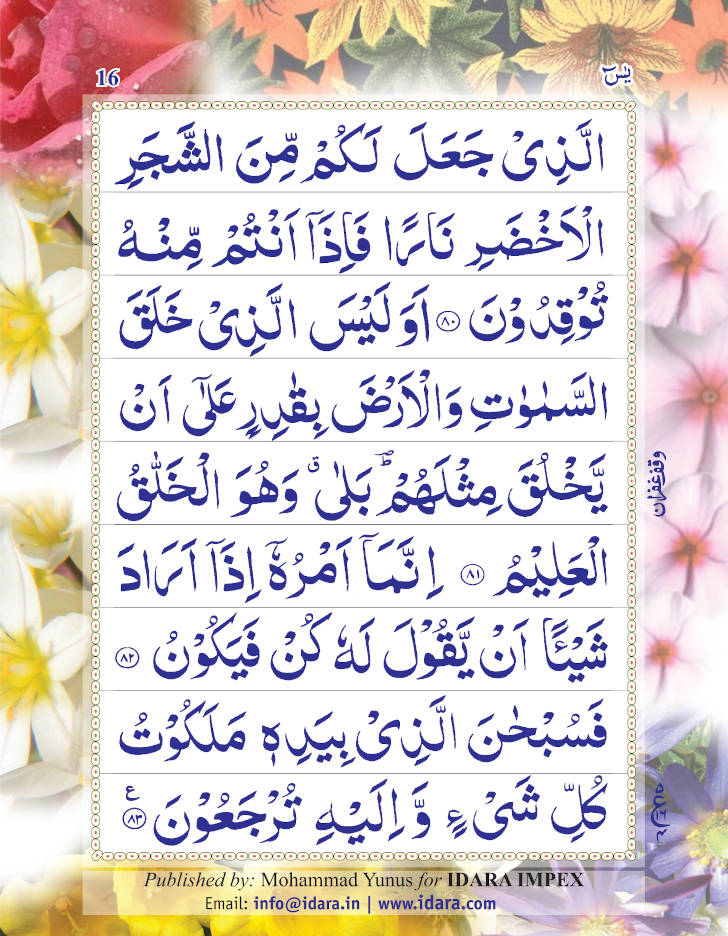 Surah Yaseen (Arabic Only) Large | Coloured Pages 9 Lines
