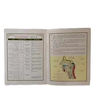 Juzu Amma With Colour Coded Tajweed Rules in English &amp; Urdu 30th Part of the Holy Quran