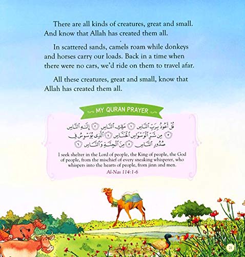 Bedtime Quran Stories – HB