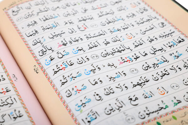 Holy Quran Color Coded  - 13 Lines