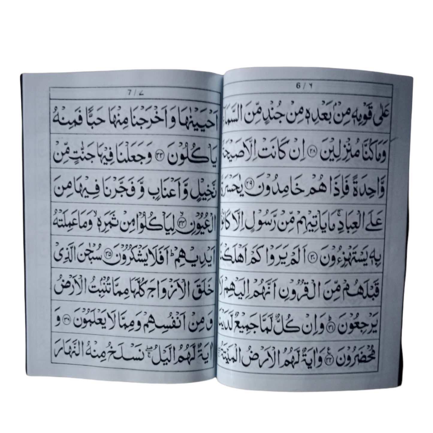 Surah Yaseen Medium Size Fully Laminated