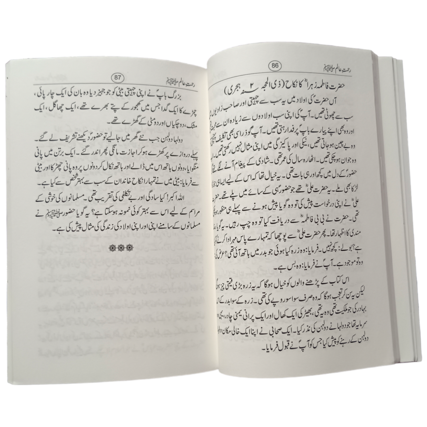 Rehmat e Alam Urdu Language