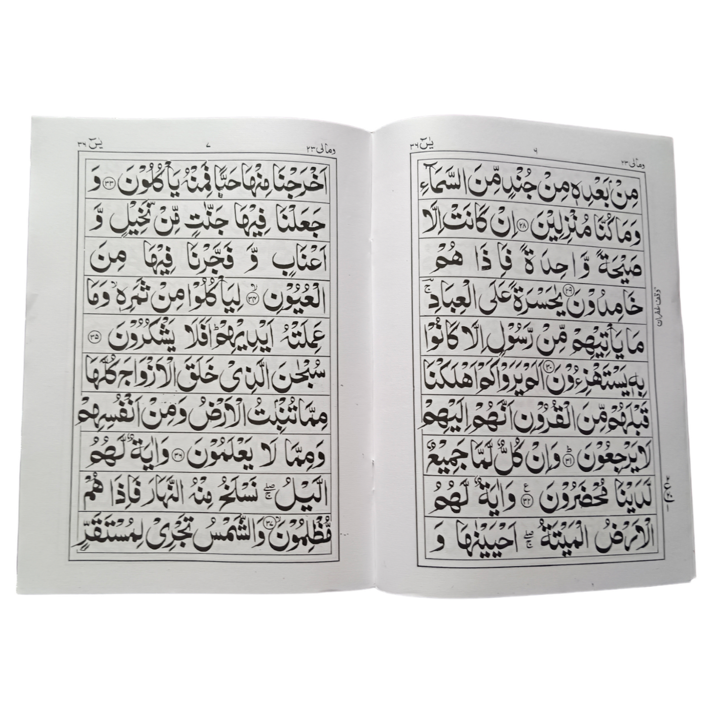 Surah Yaseen With Big Fonts - Large Size