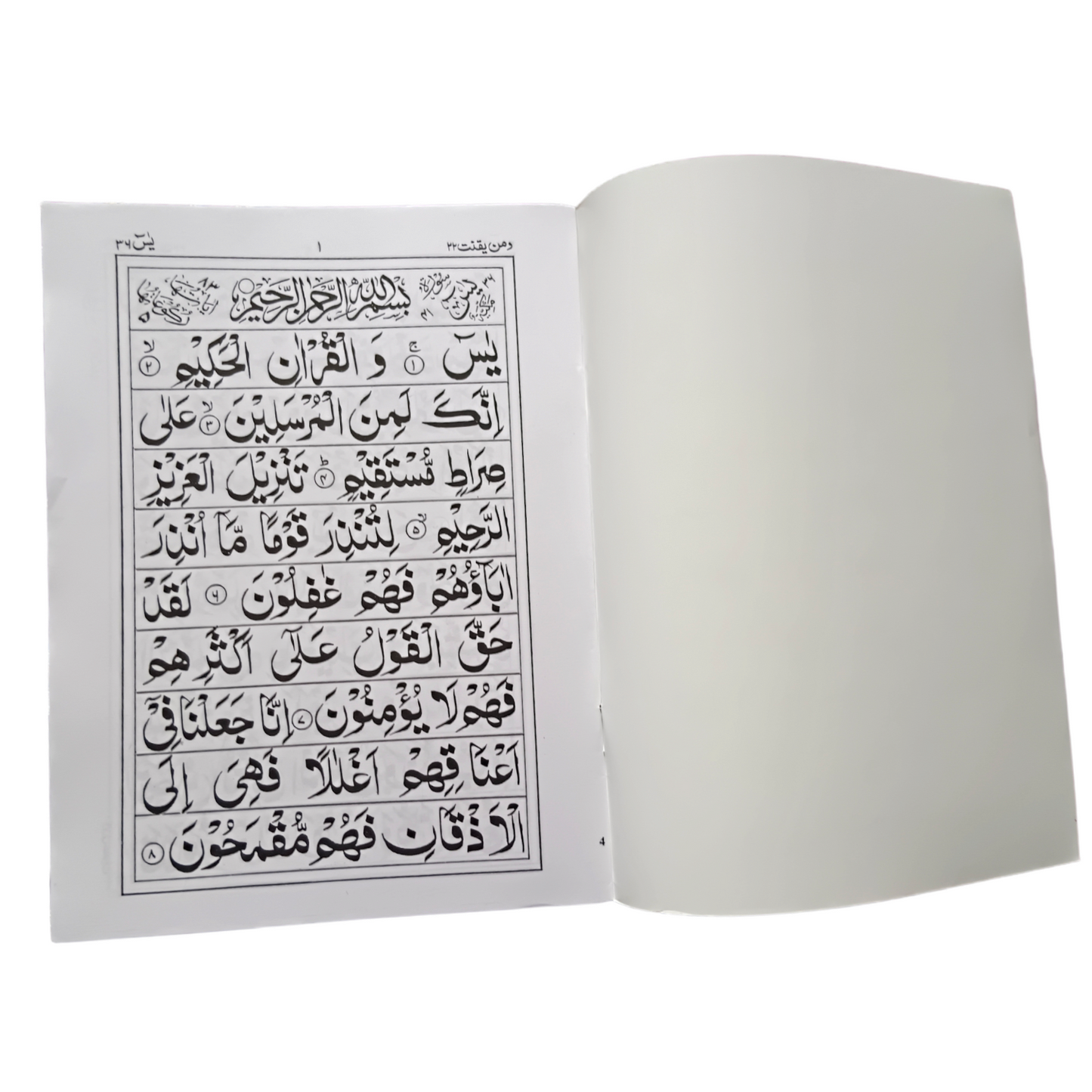 Surah Yaseen With Big Fonts - Large Size