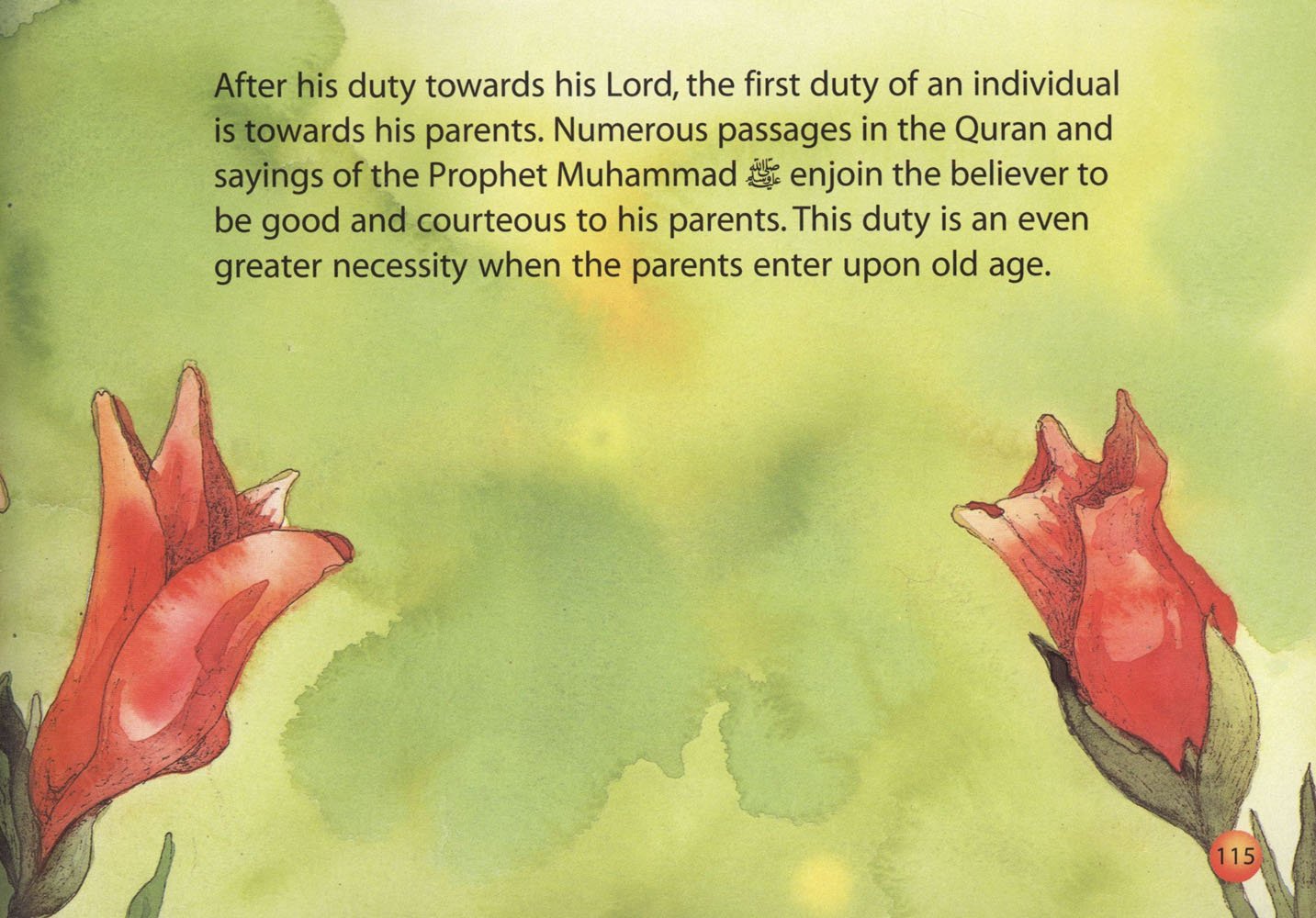 Quran and Seerah Stories for Kids