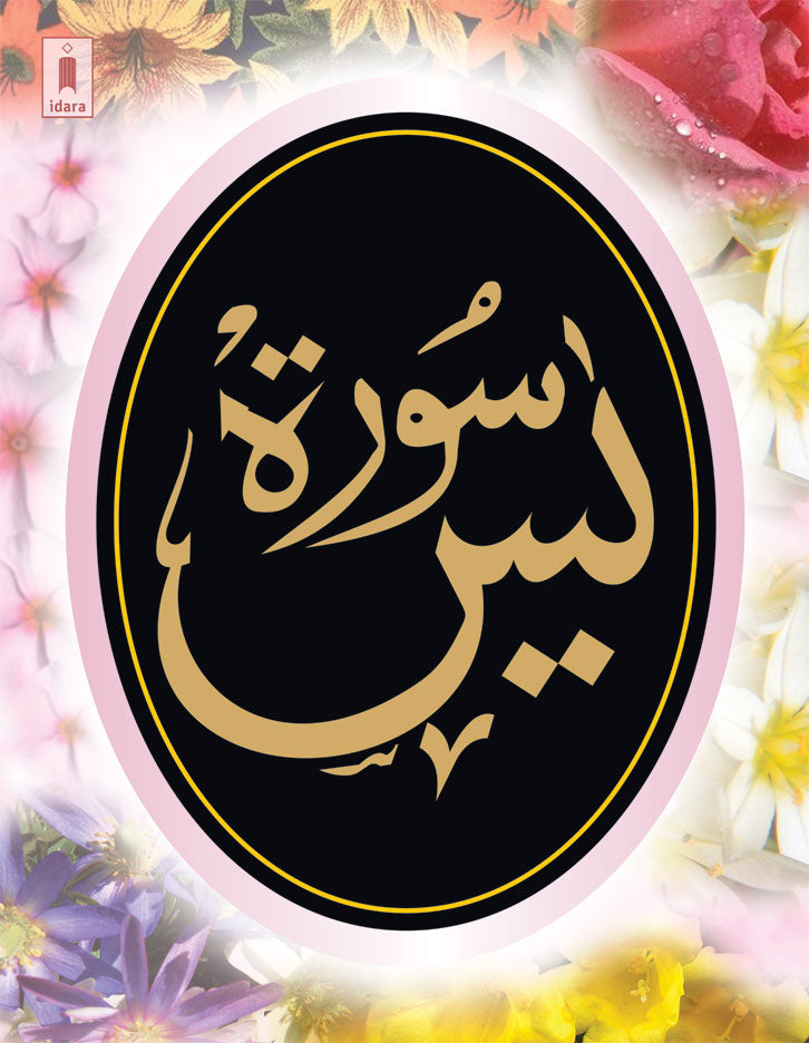 Surah Yaseen (Arabic Only) Large | Coloured Pages 9 Lines