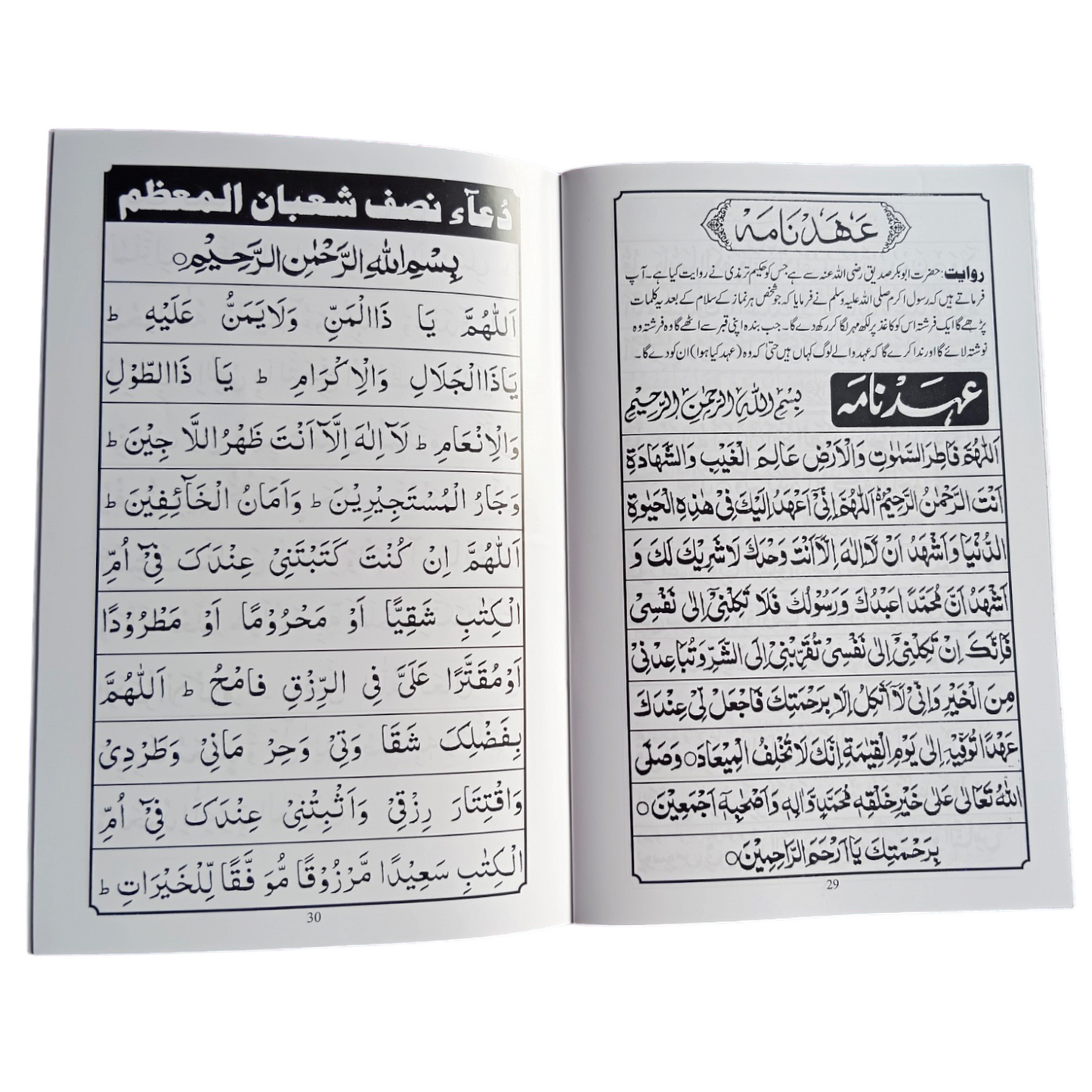 Surah Yaseen large font