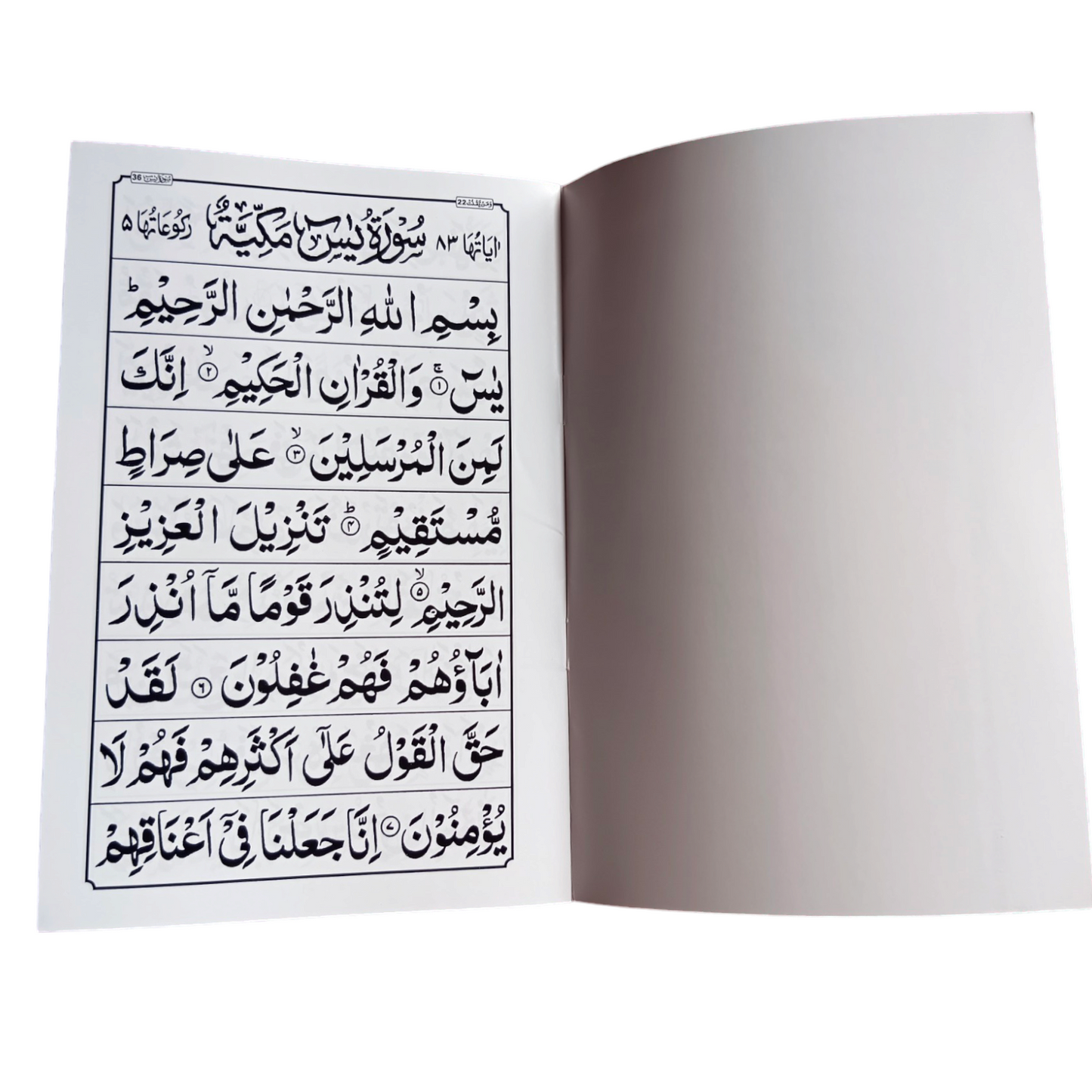 Surah Yaseen large font