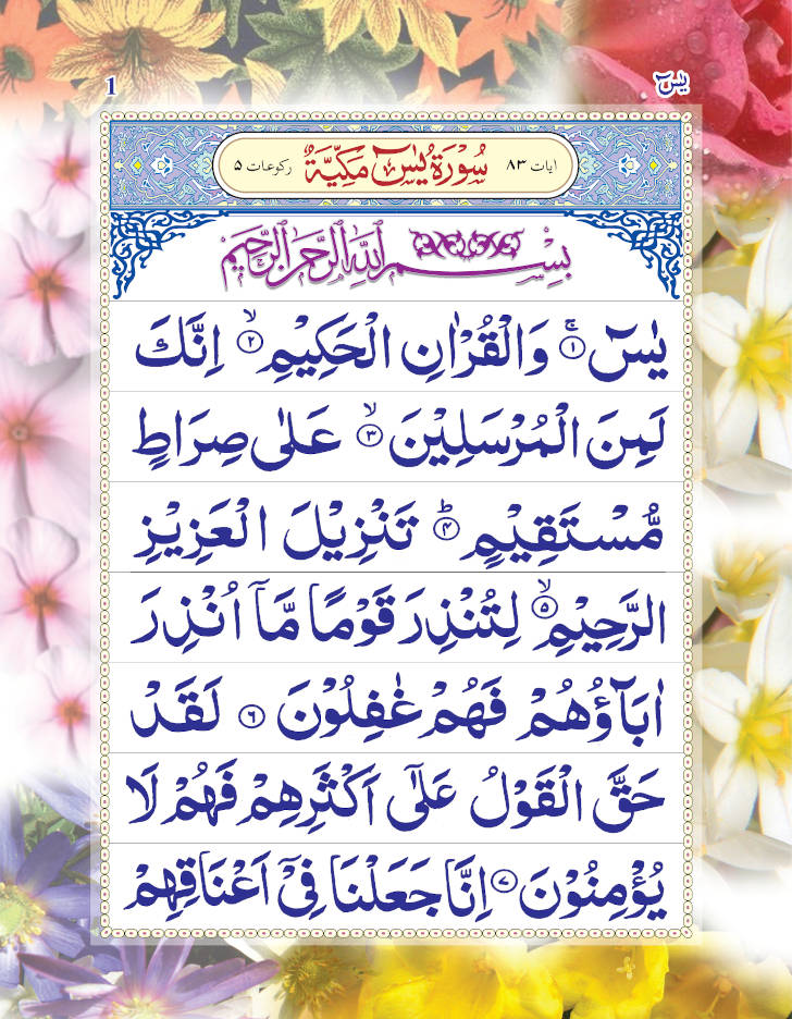 Surah Yaseen (Arabic Only) Large | Coloured Pages 9 Lines