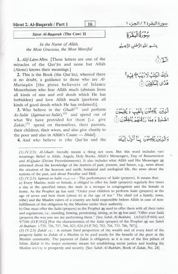Interpretation of the Meanings of the Noble Quran Summarized | English (HB)