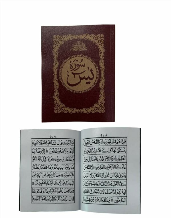 Pocket Size Surah Yaseen(Pack of 3)